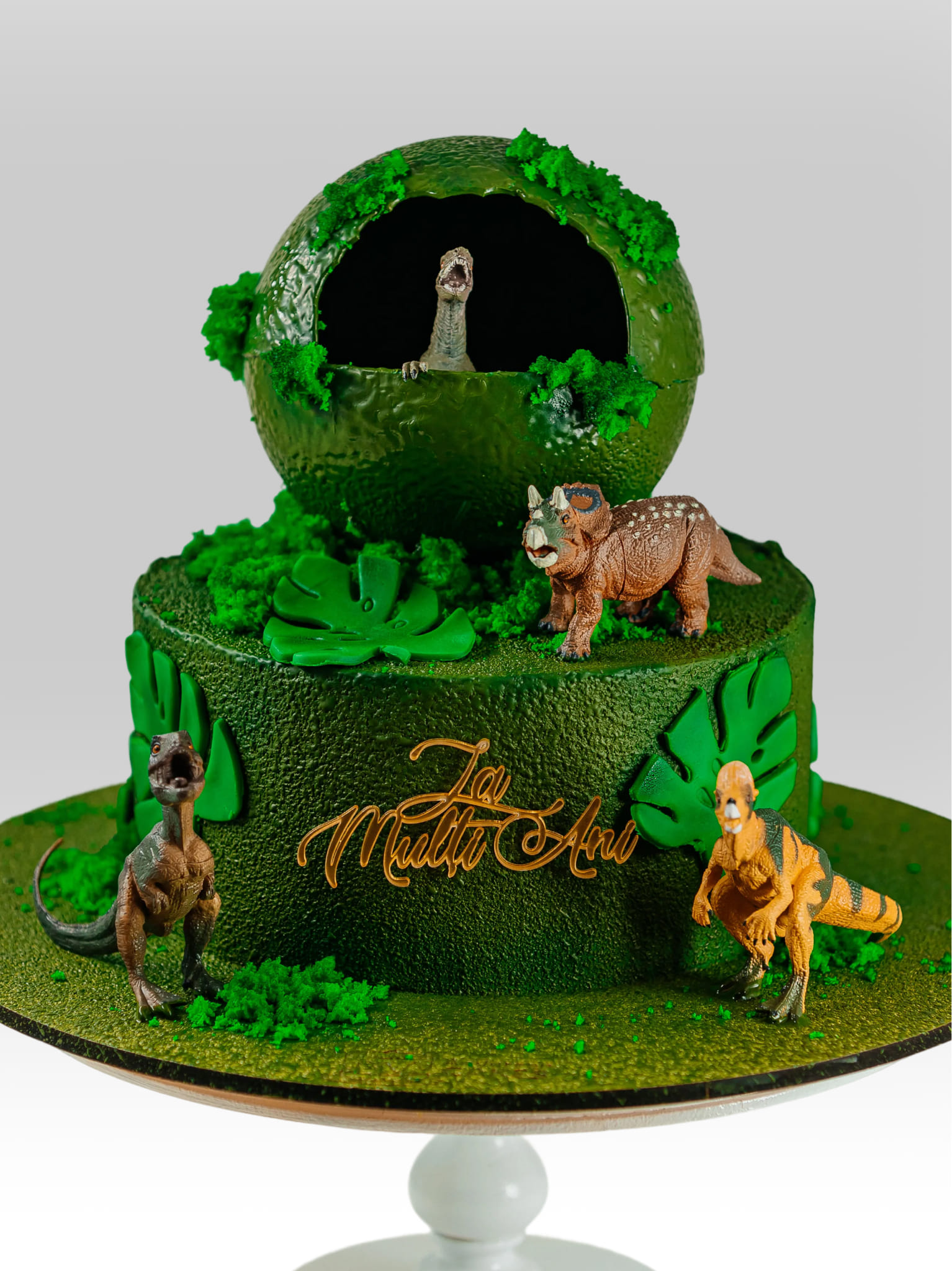 Tort B036
