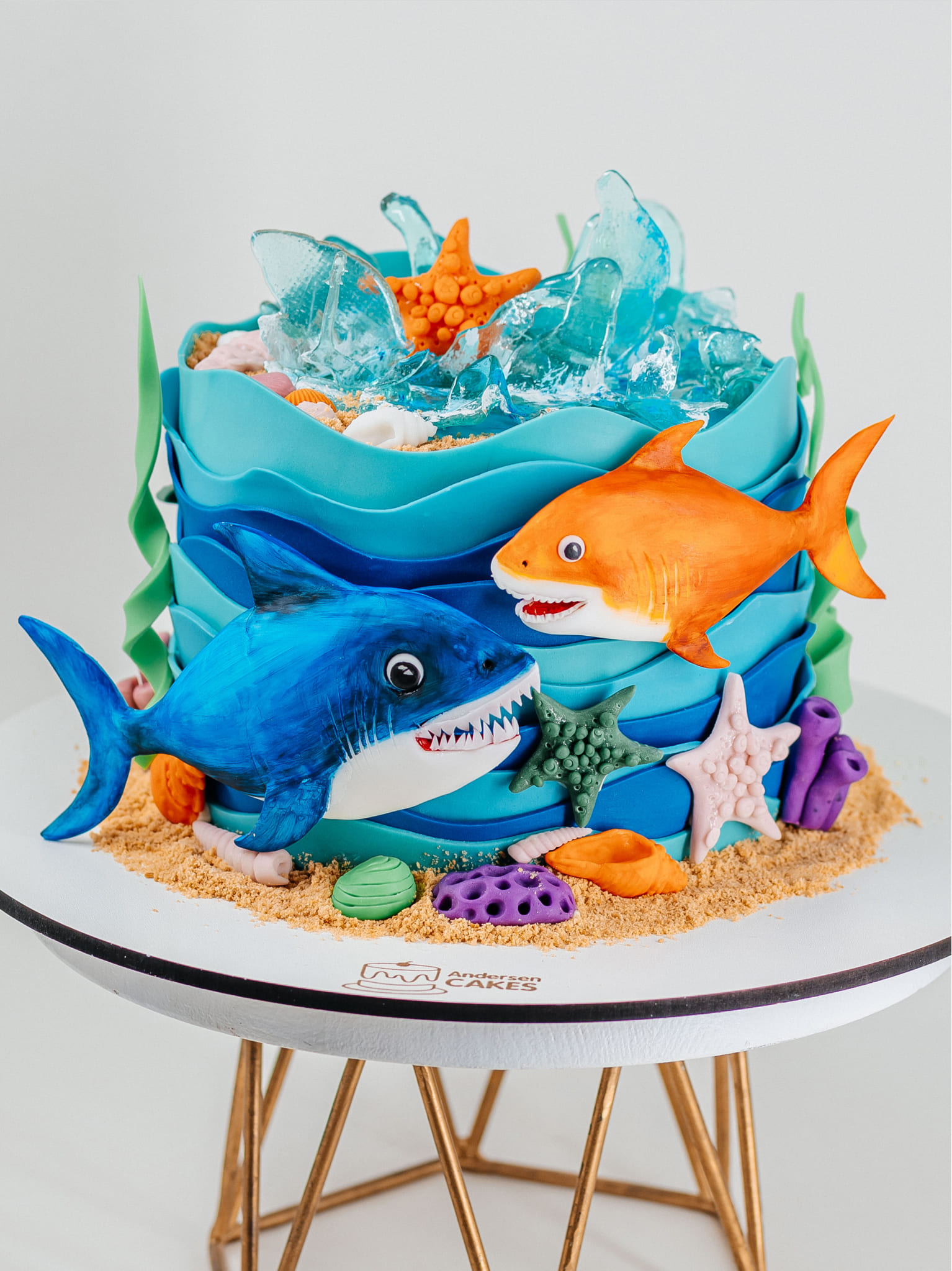 Tort B055