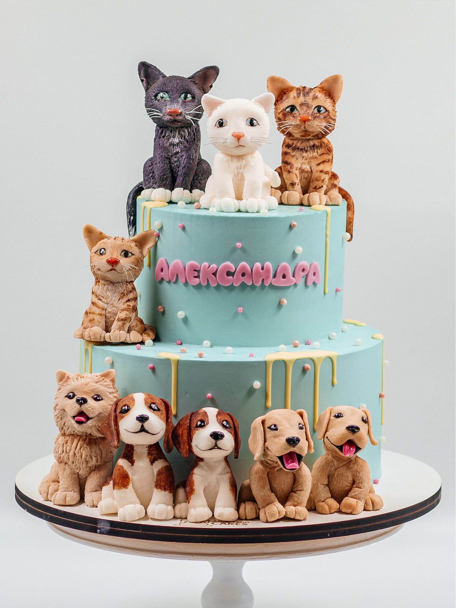 Tort A022