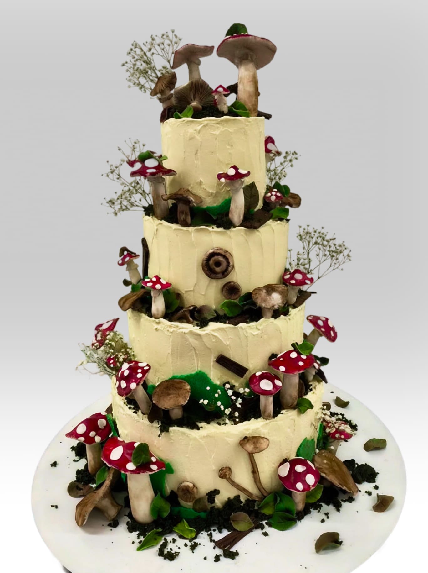 Tort A028