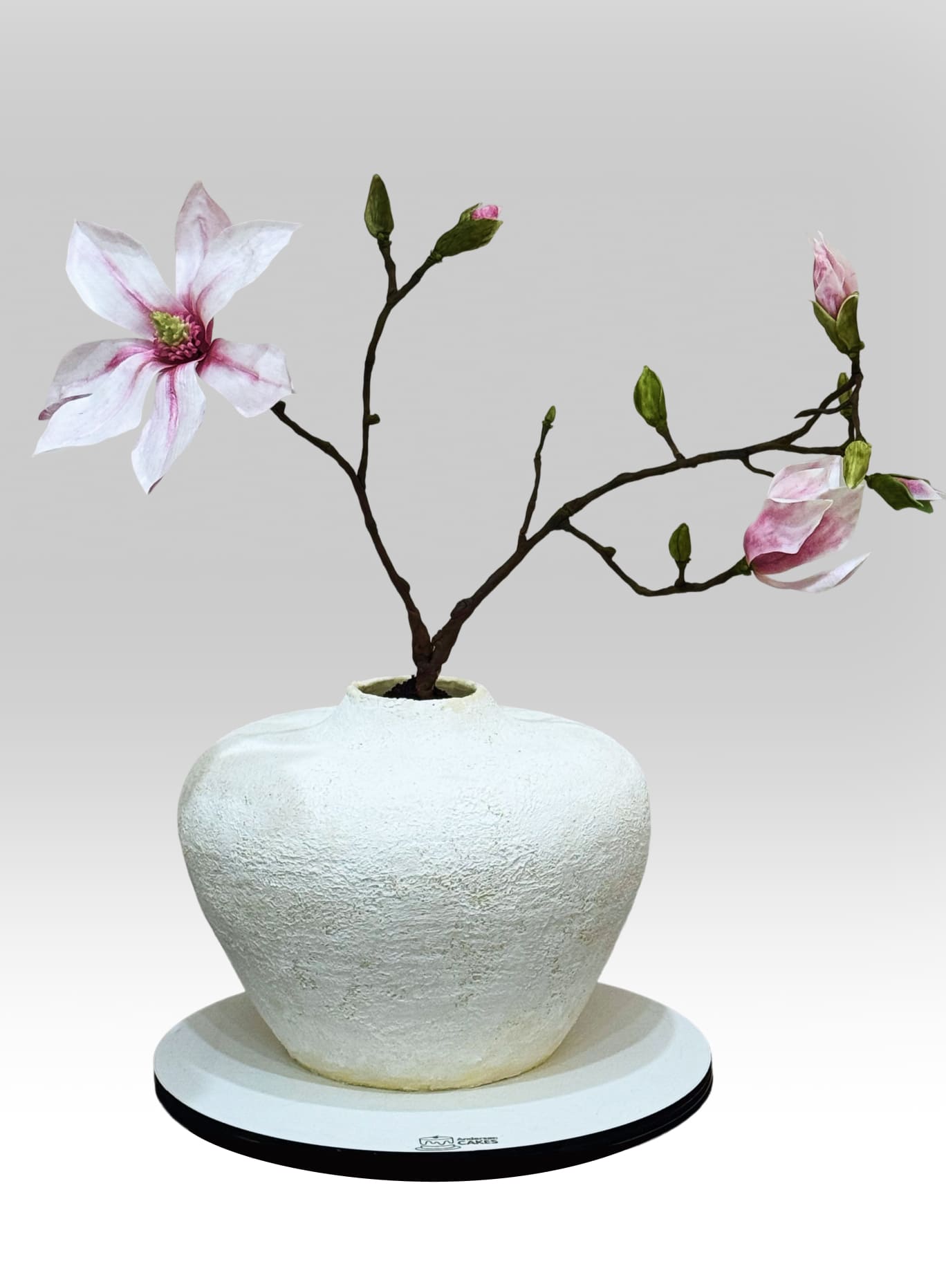 Tort A037